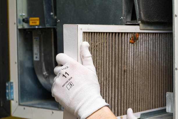 Best Commercial Air Duct Cleaning  in North Alamo, TX