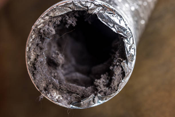 Best Air Duct Cleaning Near Me  in North Alamo, TX