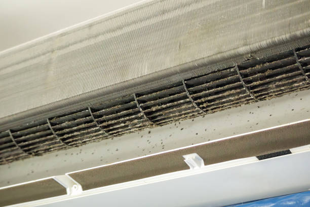 Best Air Duct Cleaning Near Me  in North Alamo, TX