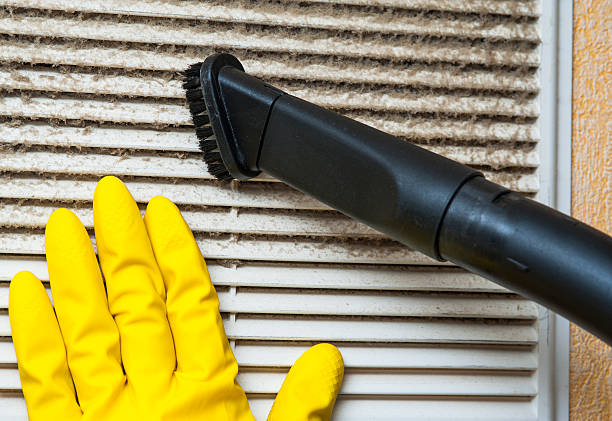 Best Air Duct Sanitizing Services  in North Alamo, TX